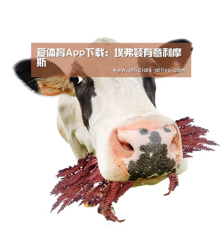 爱体育App下载：埃弗顿有意利摩斯