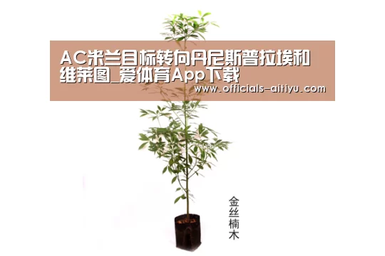 AC米兰目标转向丹尼斯普拉埃和维莱图_爱体育App下载(图2) 爱体育App下载