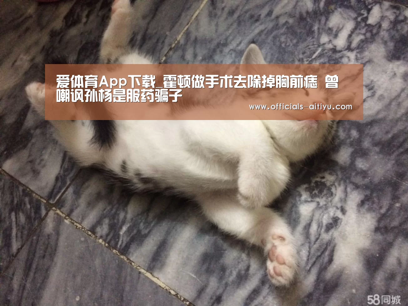 爱体育App下载