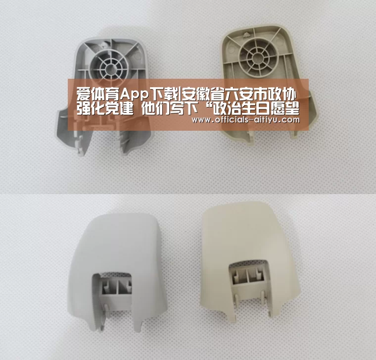 爱体育App下载|安徽省六安市政协强化党建 他们写下“政治生日愿望”(图3) 爱体育App下载