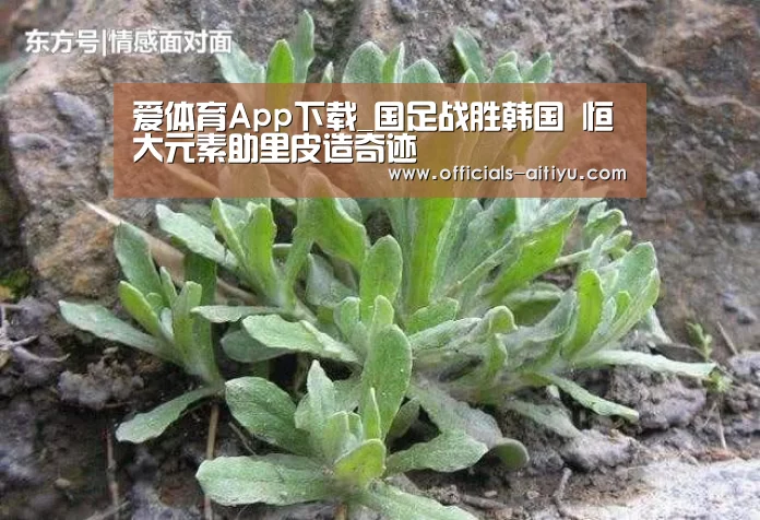 爱体育App下载_国足战胜韩国 恒大元素助里皮造奇迹